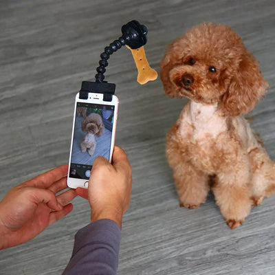 Pet Photography Tool | Pet Photography Accessories|Taylormade Pet Shop
